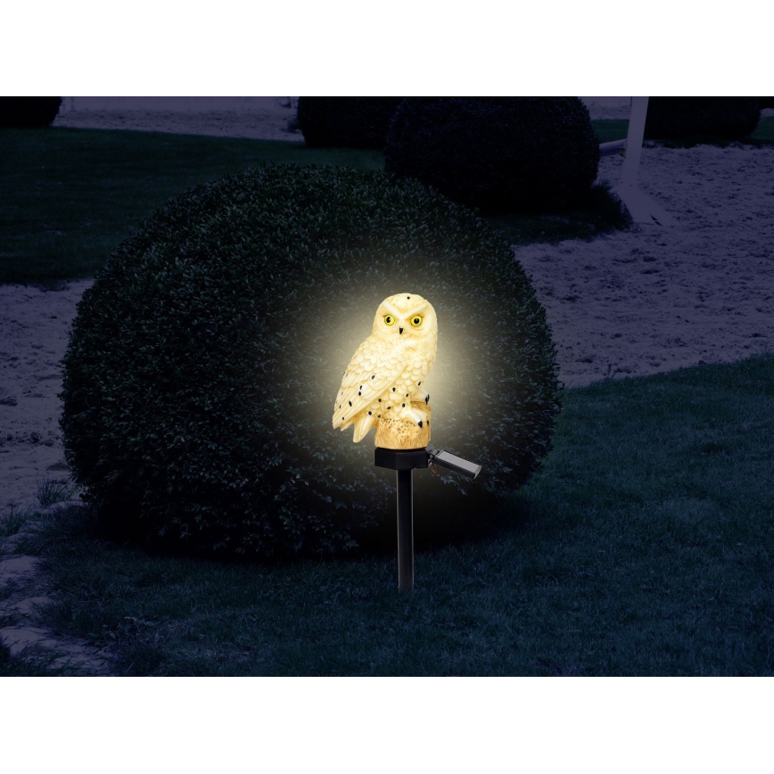 Globo – LED-Solarleuchte LED/0,06W/3V IP44 Eule