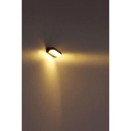 Globo - LED Auβen-Wandbeleuchtung LED/10W/230V IP54