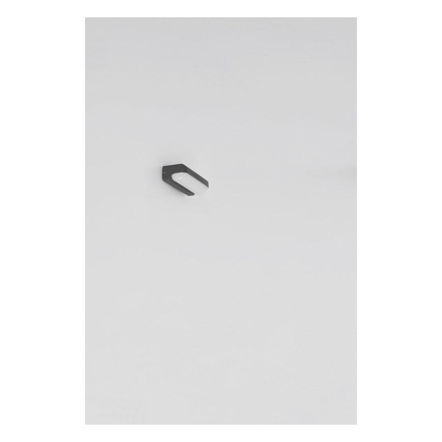 Globo - LED Auβen-Wandbeleuchtung LED/10W/230V IP54