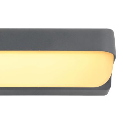 Globo - LED Auβen-Wandbeleuchtung LED/10W/230V IP54