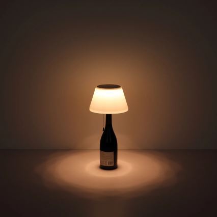 Globo - LED-Solar-Flaschenlampenschirm 10xLED/1,5W/3V IP44