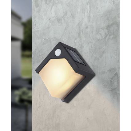 Globo - LED-Solarleuchte mit Sensor LED/0,48W/3V IP44 600 mAh