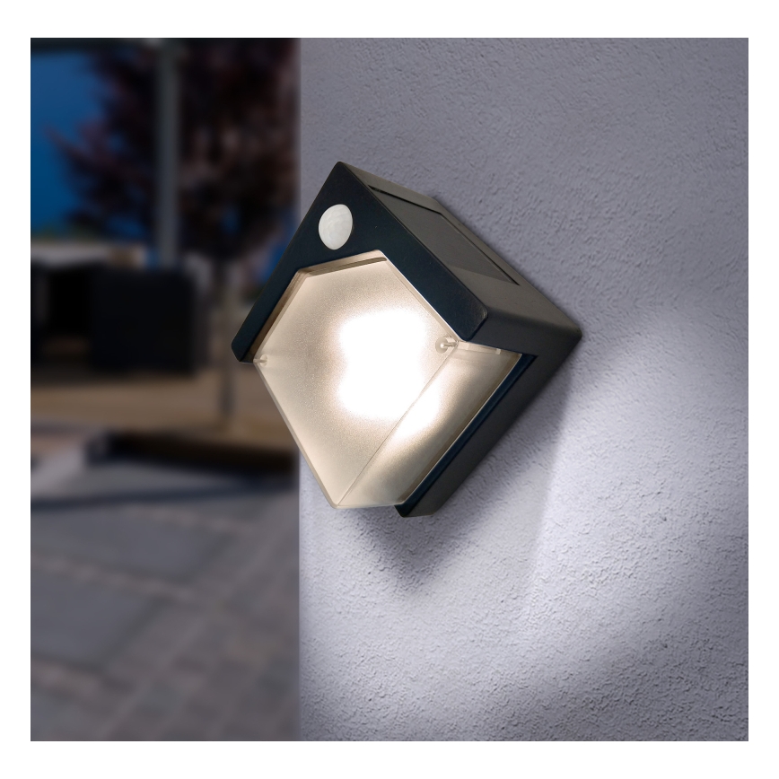 Globo - LED-Solarleuchte mit Sensor LED/0,48W/3V IP44 600 mAh