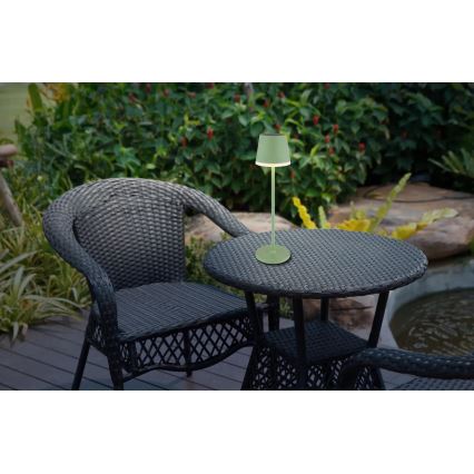 Globo - LED-Solarleuchte LED/0,06W/3V 3000K IP44 grün