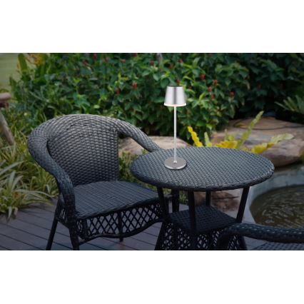 Globo - LED-Solarleuchte LED/0,6W/3V 3000K IP44 matt Chrom