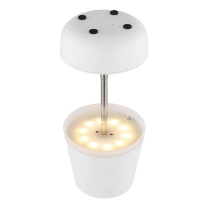 Globo - LED-Solarleuchte 10xLED/0,06W/3V IP44 800 mAh weiß