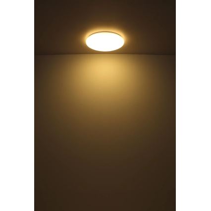 Globo - LED-Deckenleuchte LED/24W/230V d 49,5 cm weiß