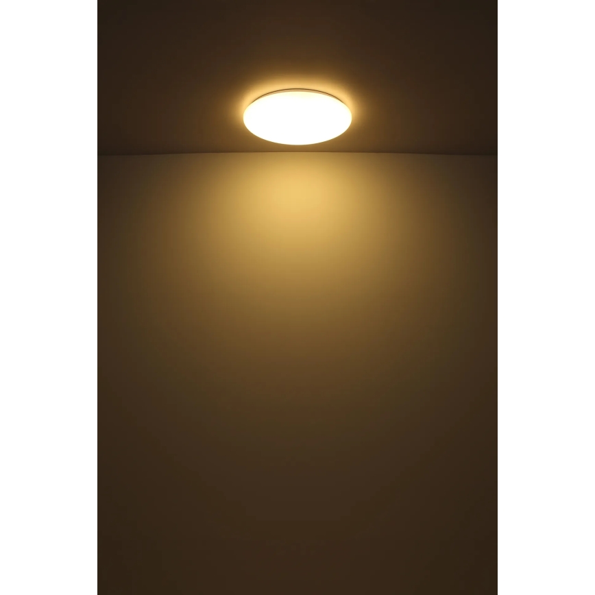 Globo - LED-Deckenleuchte LED/24W/230V d 49,5 cm weiß