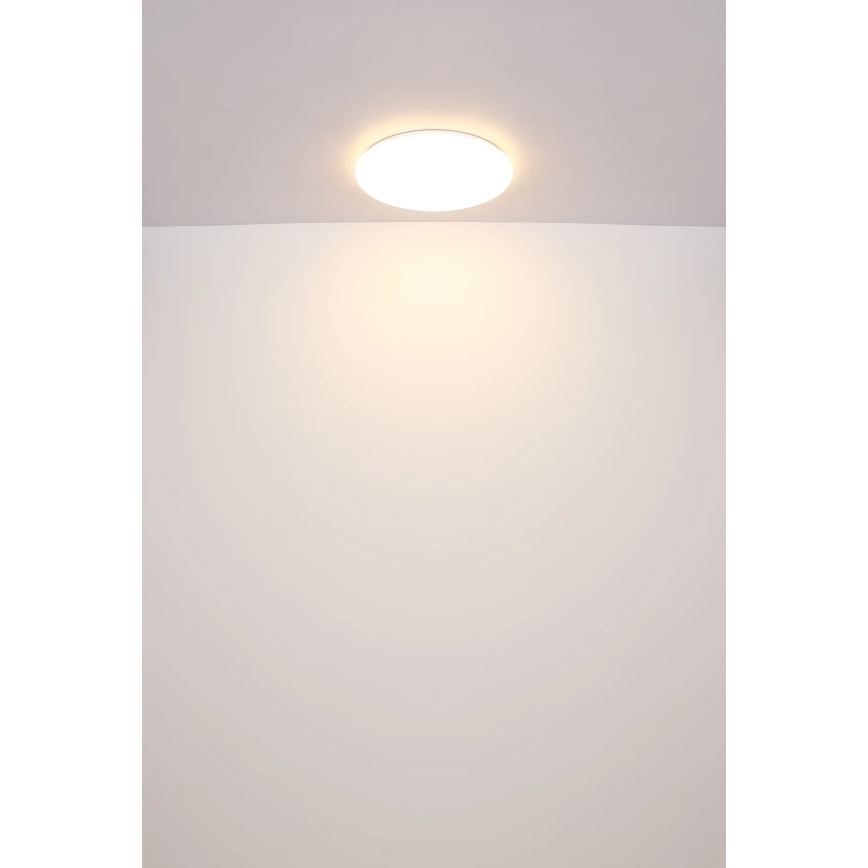 Globo - LED-Deckenleuchte LED/24W/230V d 49,5 cm weiß