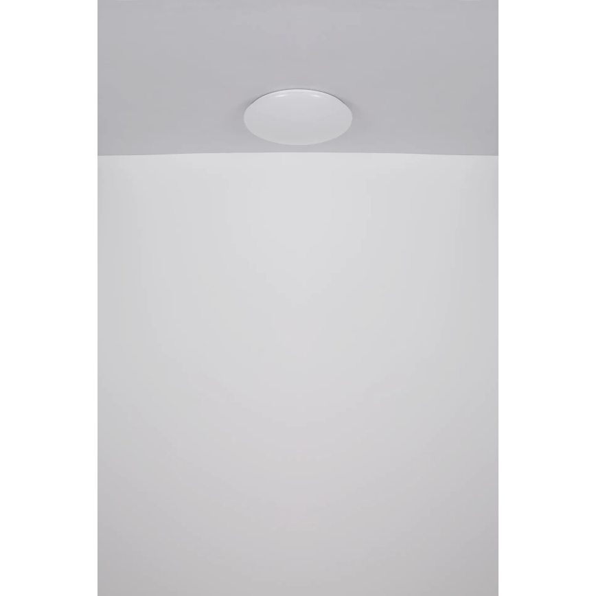 Globo - LED-Deckenleuchte LED/24W/230V d 49,5 cm weiß