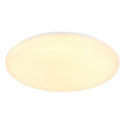 Globo - LED-Deckenleuchte LED/24W/230V d 49,5 cm weiß