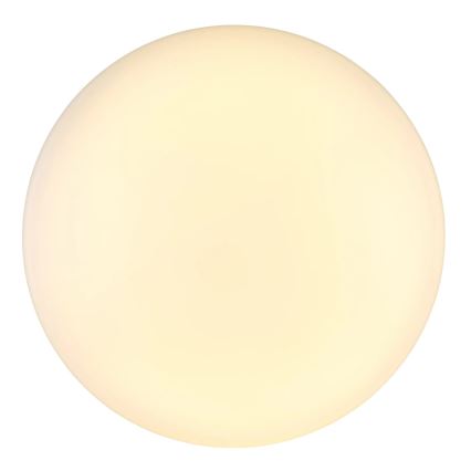 Globo - LED-Deckenleuchte LED/24W/230V d 49,5 cm weiß