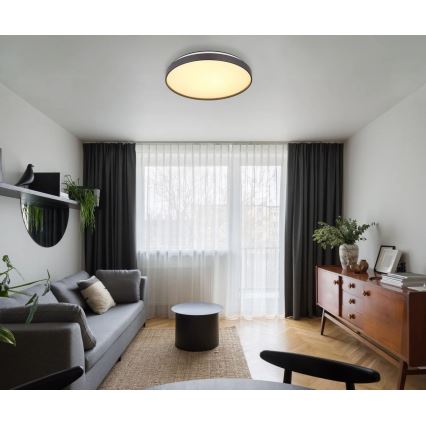 Globo - LED-Deckenleuchte LED/24W/230V d 48 cm anthrazit