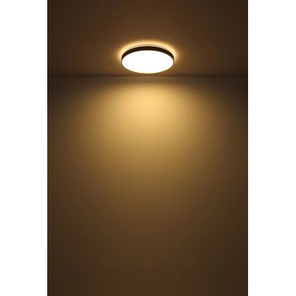 Globo - LED-Deckenleuchte LED/24W/230V d 48 cm anthrazit