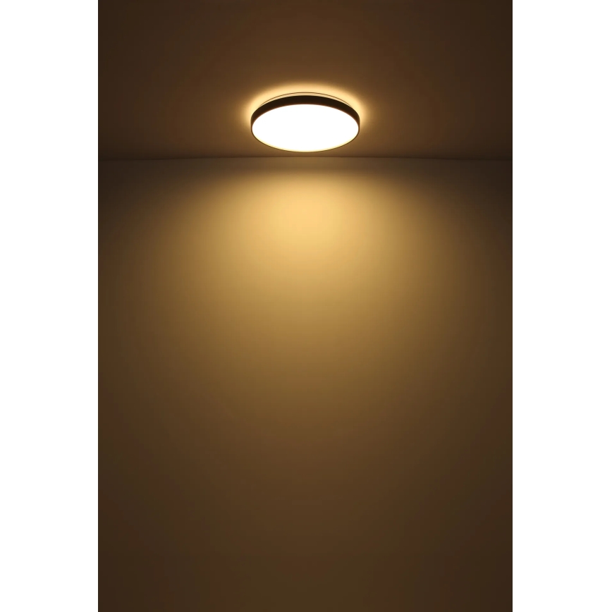 Globo - LED-Deckenleuchte LED/24W/230V d 48 cm anthrazit