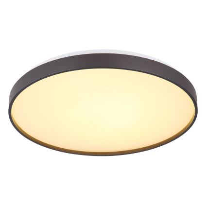 Globo - LED-Deckenleuchte LED/24W/230V d 48 cm anthrazit