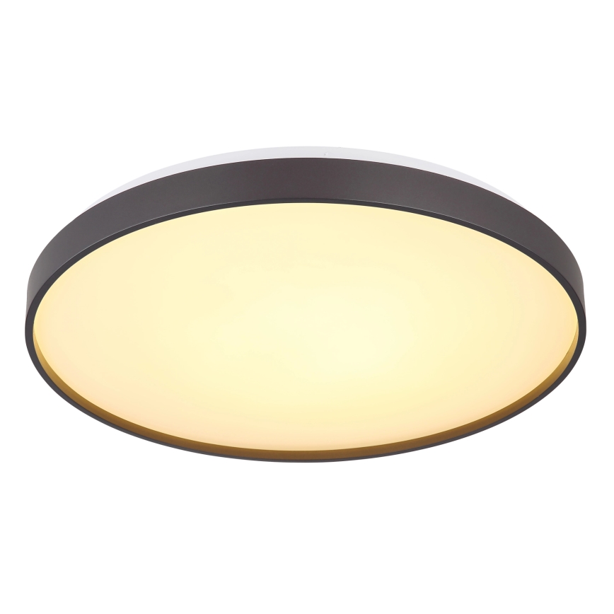 Globo - LED-Deckenleuchte LED/24W/230V d 48 cm anthrazit