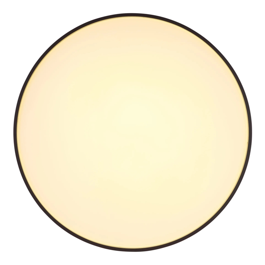 Globo - LED-Deckenleuchte LED/24W/230V d 48 cm anthrazit