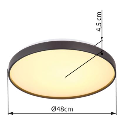 Globo - LED-Deckenleuchte LED/24W/230V d 48 cm anthrazit