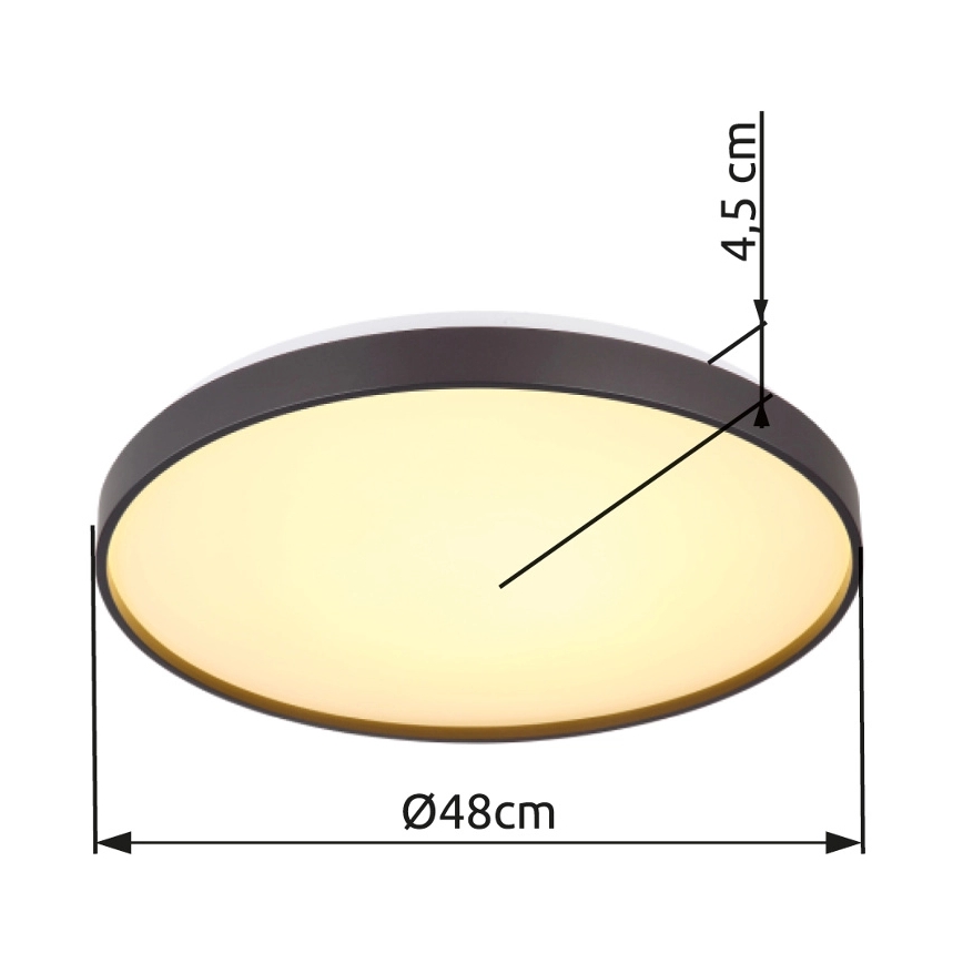 Globo - LED-Deckenleuchte LED/24W/230V d 48 cm anthrazit
