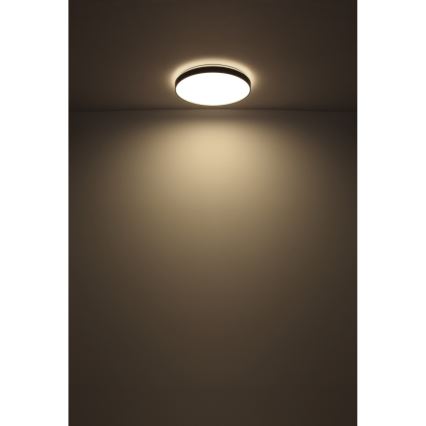 Globo - LED-Deckenleuchte LED/24W/230V