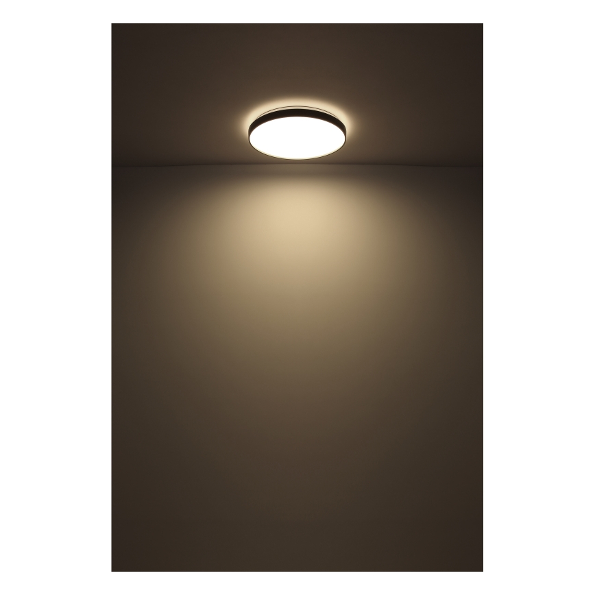 Globo - LED-Deckenleuchte LED/24W/230V