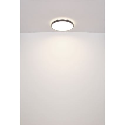 Globo - LED-Deckenleuchte LED/24W/230V