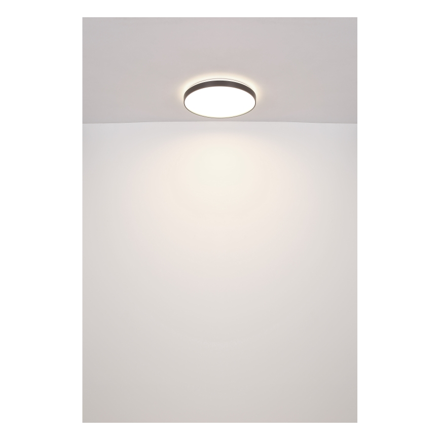 Globo - LED-Deckenleuchte LED/24W/230V