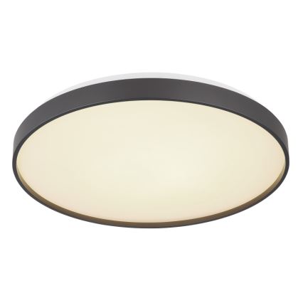Globo - LED-Deckenleuchte LED/24W/230V