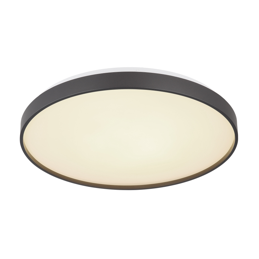 Globo - LED-Deckenleuchte LED/24W/230V