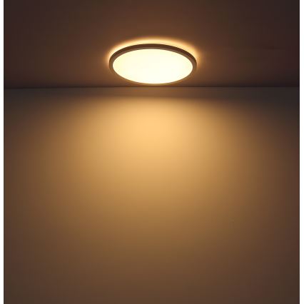 Globo - Dimmbare LED-Deckenleuchte für das Badezimmer LED/18W/230V d 29,4 cm IP44 weiß