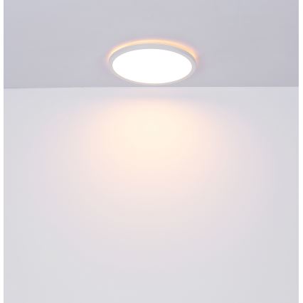 Globo - Dimmbare LED-Deckenleuchte für das Badezimmer LED/18W/230V d 29,4 cm IP44 weiß