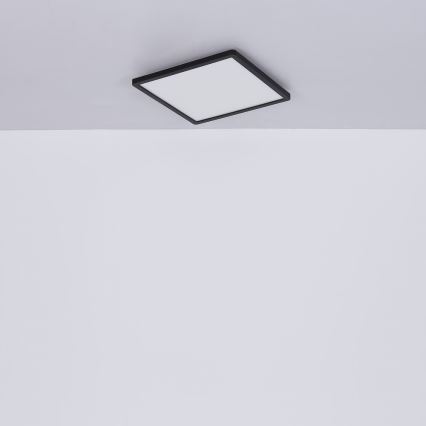Globo - LED dimmbare Badezimmer-Deckenleuchte LED/24W/230V 42x42 cm IP44 schwarz