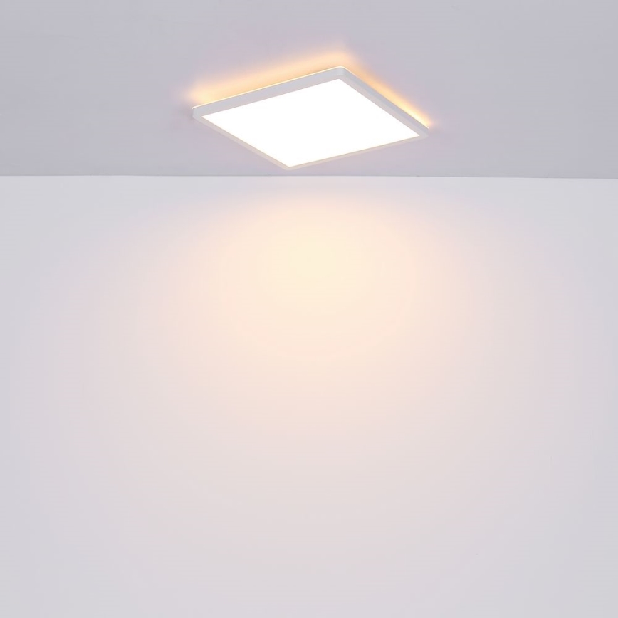 Globo - LED dimmbare Badezimmer-Deckenleuchte LED/24W/230V 42x42 cm IP44 weiß
