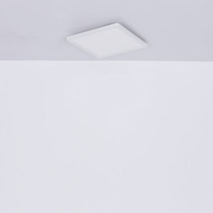 Globo - LED dimmbare Badezimmer-Deckenleuchte LED/24W/230V 42x42 cm IP44 weiß