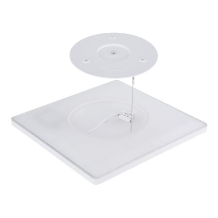 Globo - LED dimmbare Badezimmer-Deckenleuchte LED/24W/230V 42x42 cm IP44 weiß