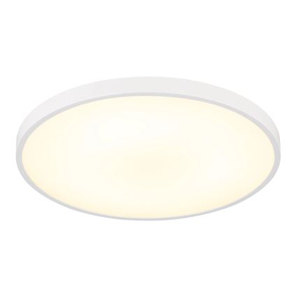 Globo - LED-Deckenleuchte LED/15W/230V 4000K Ø 23 cm weiß