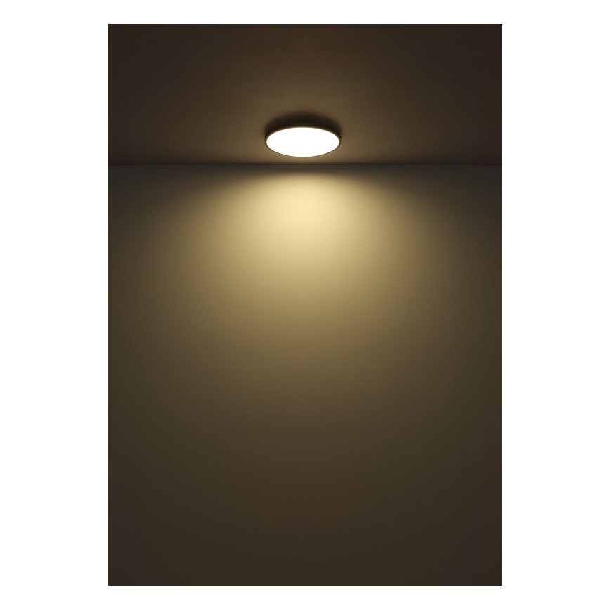 Globo - LED-Deckenleuchte LED/32W/230V 4000K d 40 cm schwarz