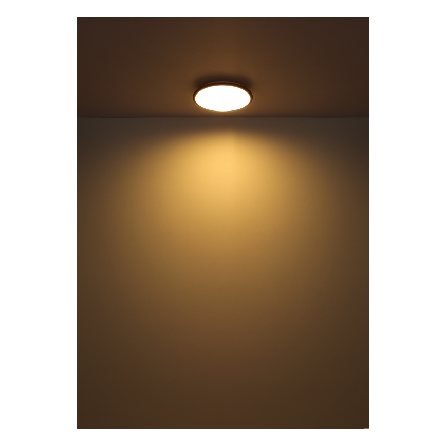 Globo - LED-Deckenleuchte LED/18W/230V 3000K d 35 cm schwarz