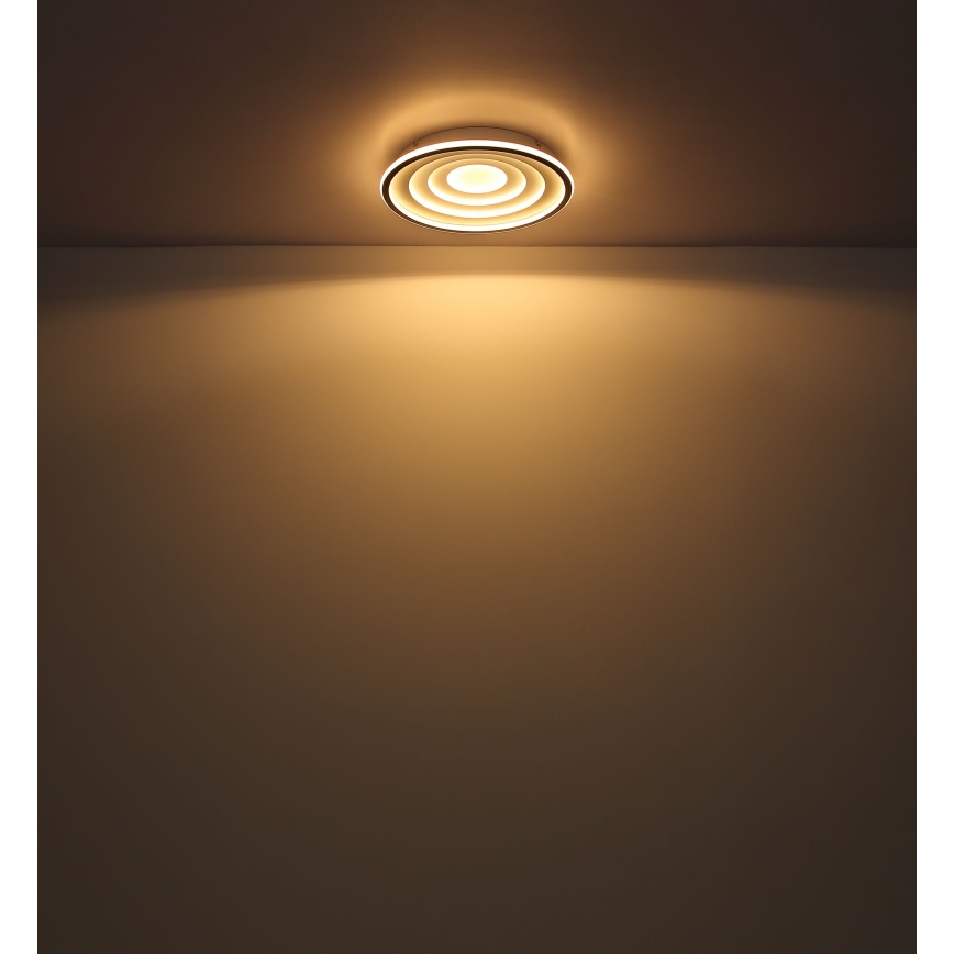 Globo - LED-Deckenleuchte LED/24W/230V