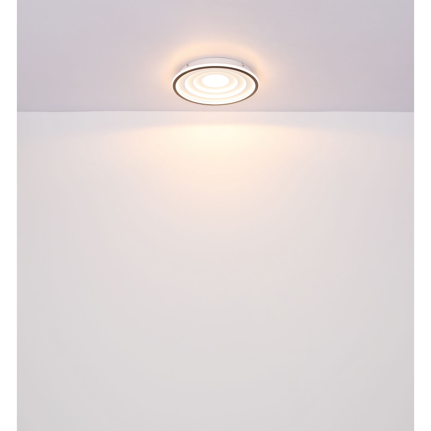 Globo - LED-Deckenleuchte LED/24W/230V