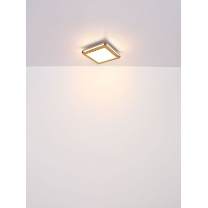 Globo - LED-Deckenleuchte LED/12W/230V 30x30 cm