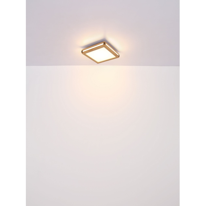 Globo - LED-Deckenleuchte LED/12W/230V 30x30 cm