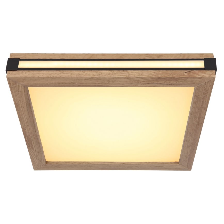 Globo - LED-Deckenleuchte LED/12W/230V 30x30 cm