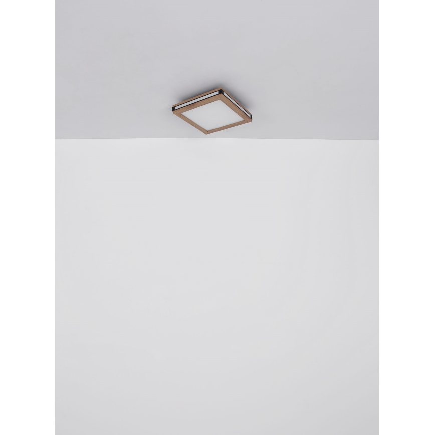 Globo - LED-Deckenleuchte LED/24W/230V 45x45 cm