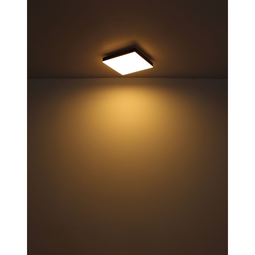 Globo - Dimmbare LED-Deckenleuchte LED/24W/230V 2700-6500K schwarz + Fernbedienung