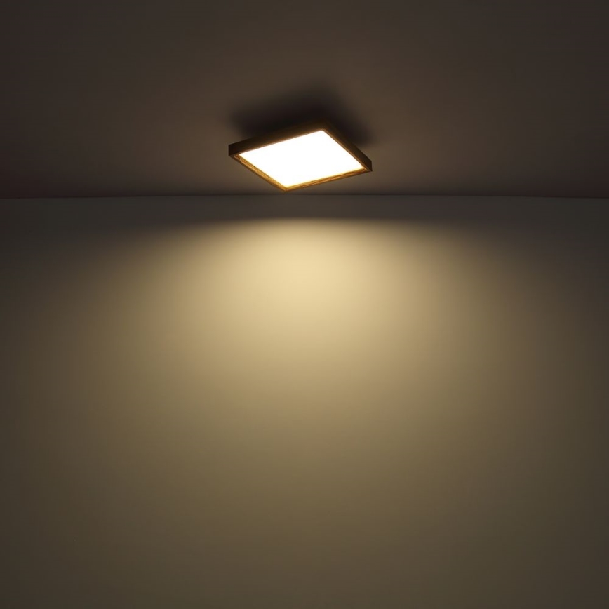 Globo 41595D2 - LED-Deckenleuchte LED/24W/230V 45cm 2700/4500/6500K