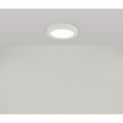 Globo - LED Bad-Deckenleuchte 1xLED/18W/230V IP44