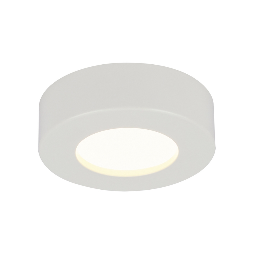 GLOBO 41605-9D - LED dimmbare Badezimmer Deckenleuchte PAULA 1xLED/9W/230V IP44