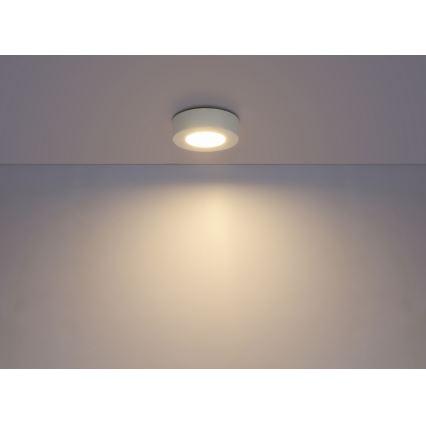 GLOBO 41605-9D - LED dimmbare Badezimmer Deckenleuchte PAULA 1xLED/9W/230V IP44